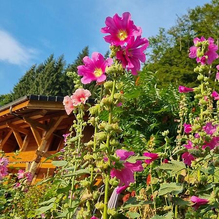 Chalet Arpitan - Les Carroz - Grand Massif Eksteriør bilde