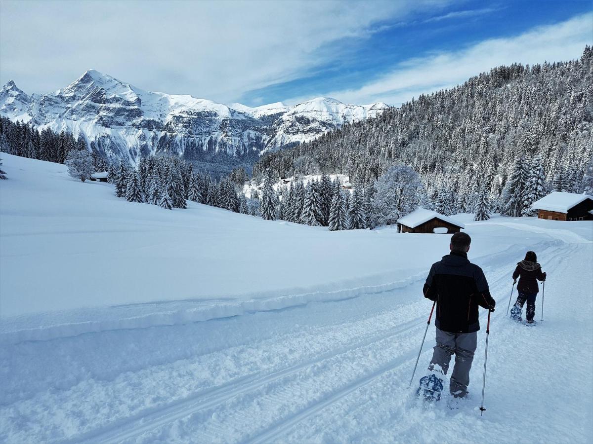 Chalet Arpitan - Les Carroz - Grand Massif Eksteriør bilde