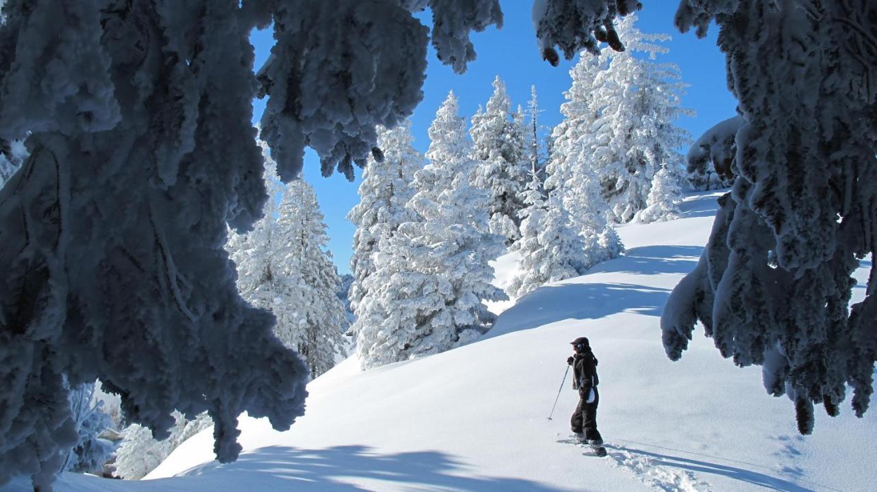 Chalet Arpitan - Les Carroz - Grand Massif Eksteriør bilde